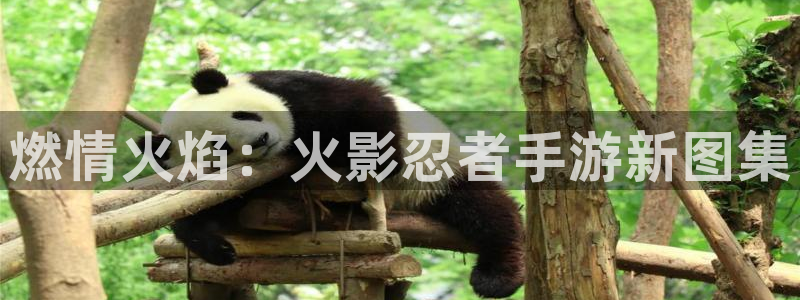 恩佐娱乐手机登录：燃情火焰：火影忍者手游新图集