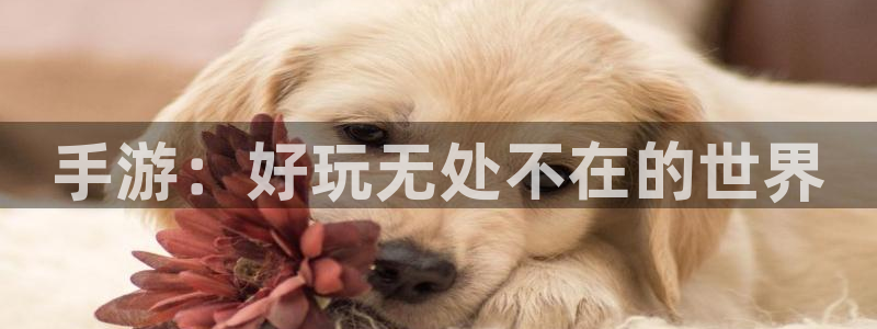 恩佐娱乐平台正规吗安全吗：手游：好玩无处不在的世界