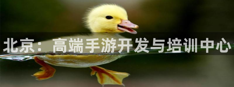 恩佐娱乐1：北京：高端手游开发与培训中心