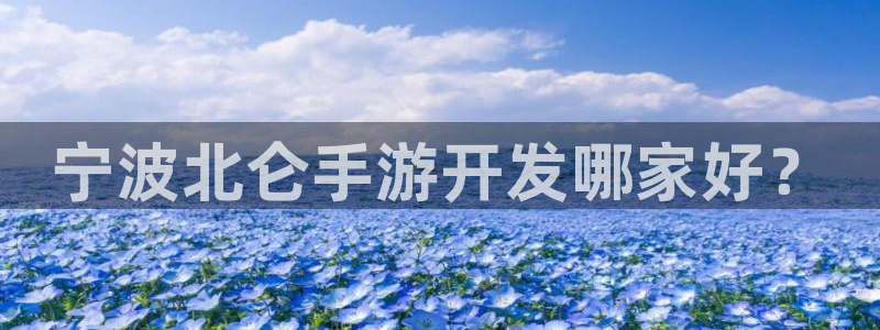 恩佐娱乐1：宁波北仑手游开发哪家好？
