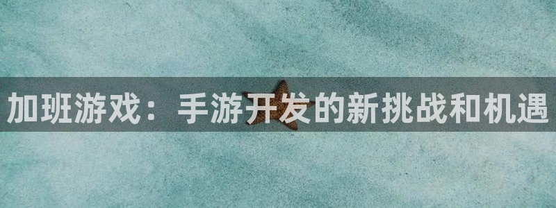 恩佐娱乐手机登录：加班游戏：手游开发的新挑战和机遇