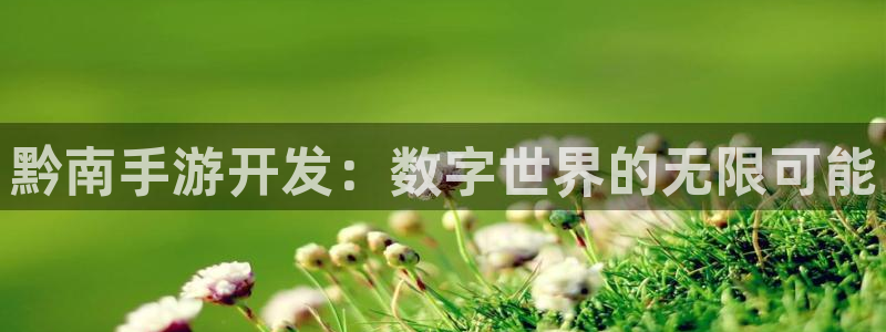 恩佐娱乐手机版最新功能介绍视频：黔南手游开发：数字世界的无限