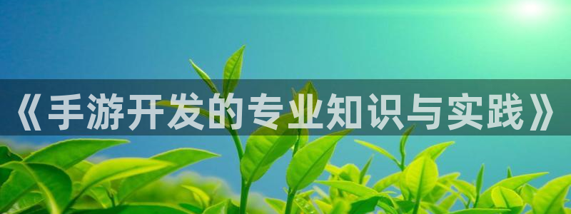 恩佐娱乐：《手游开发的专业知识与实践》