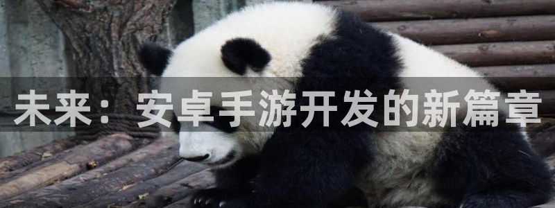 恩佐娱乐注册：未来：安卓手游开发的新篇章