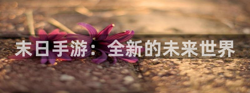 恩佐娱乐1：末日手游：全新的未来世界