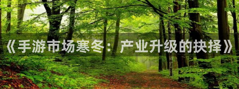 恩佐娱乐平台正规吗知乎：《手游市场寒冬：产业升级的抉择》