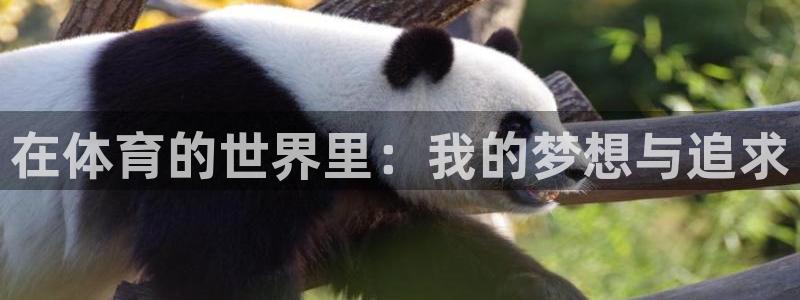 xc体育app官方网站