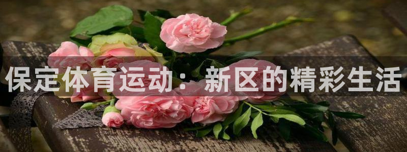 xc体育：保定体育运动：新区的精彩生活