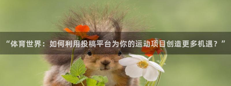 xc体育app官方网站：“体育世界：如何利用投稿平台为你的运动项目创造更多机遇？”