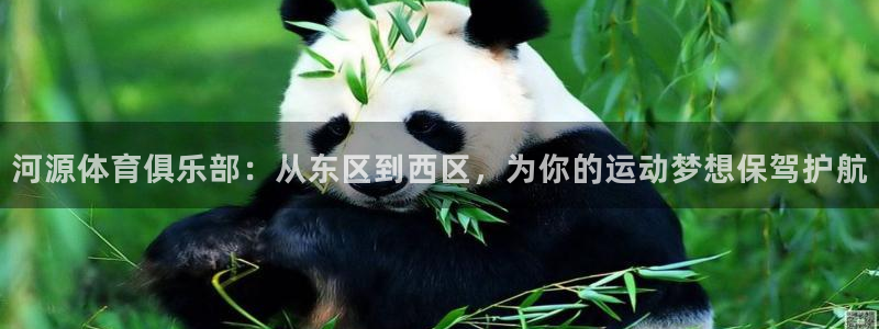 xc体育：河源体育俱乐部：从东区到西区，为你的运动梦想保驾护航