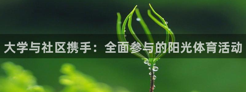 xc体育：大学与社区携手：全面参与的阳光体育活动