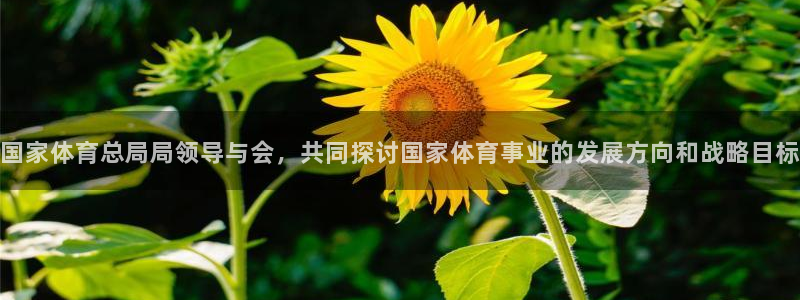 xc体育