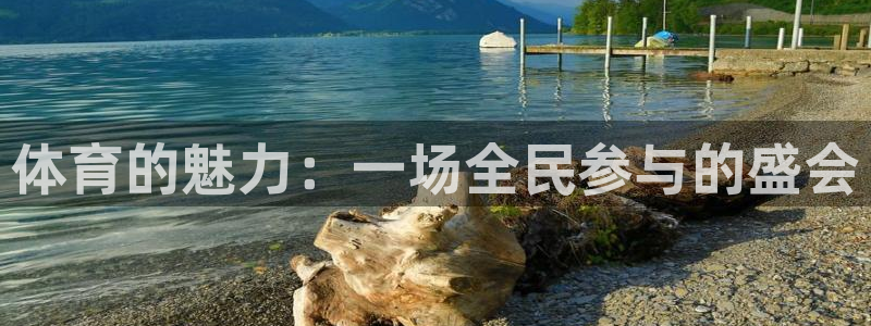 xc体育app官方网站：体育的魅力：一场全民参与的盛会